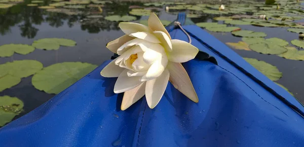 Белая вода на носу синей лодки, сидящей на воде — стоковое фото