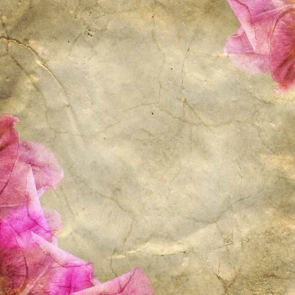 Çiçek Desenli Eski Kağıt — Stok fotoğraf