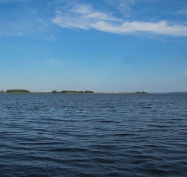 Ufukta dalgalar ve ormanlar olan geniş bir su alanı.