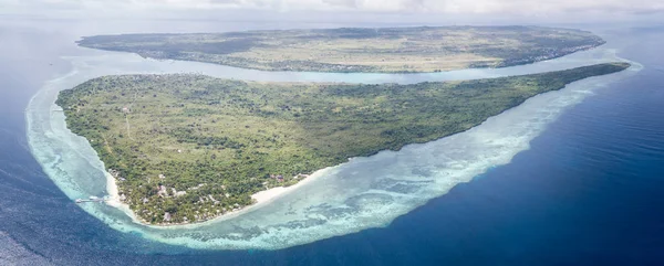 Güzel Sağlıklı Mercan Kayalıkları Boyunca Wakatobi Milli Parkı Sulawesi Endonezya — Stok fotoğraf