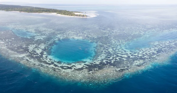 Des Récifs Coralliens Magnifiques Sains Poussent Dans Tout Parc National — Photo