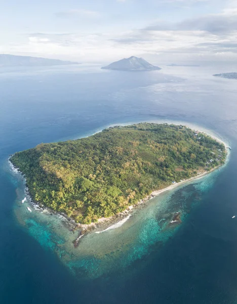 Hälsosam Korallrev Växer Runt Pulau Kumba Nära Alor Indonesien Denna — Stockfoto