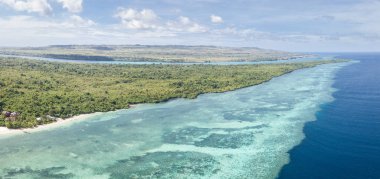 Wakatobi Milli Parkı, Endonezya uzak Islands yakınındaki sağlıklı bir mercan kayalığı büyür. Bu alan deniz biyolojik çeşitlilik şaşırtıcı bir dizi limanlar ve mercan üçgeni içinde. 