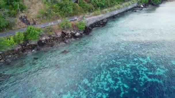 Una Sana Barriera Corallina Cresce Vicino Alle Isole Remote Alor — Video Stock