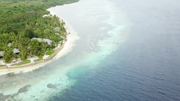 Hermoso Arrecife Coral Crece Una Isla Parque Nacional Wakatobi Indonesia — Vídeo de stock