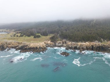 Kuzey Pasifik Okyanusu ılıman suları Sonoma Kuzey Kaliforniya'da doğal ve kayalık sahil şeridi karşı yıkayın. Bu alan kuzeyindeki San Francisco tarafından yaklaşık 100 mil olduğunu..