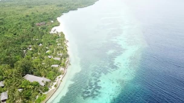 一座美丽的珊瑚礁生长在印度尼西亚 Wakatobi 国家公园的一个小岛上 该地区拥有极高的海洋生物多样性 是水肺潜水和浮潜的热门目的地 — 图库视频影像