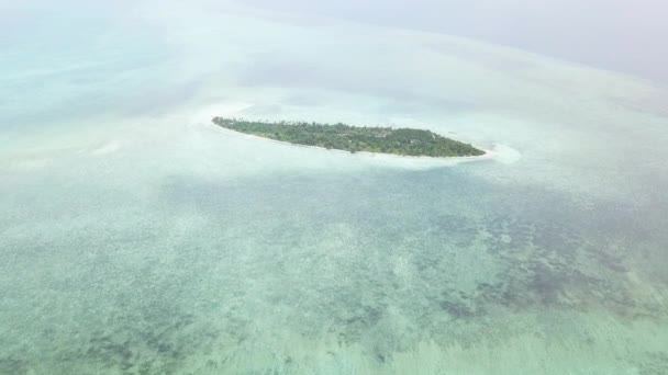 Vacker Reef Omger Avlägsen Wakatobi Nationalpark Indonesien Denna Region Hamnar — Stockvideo
