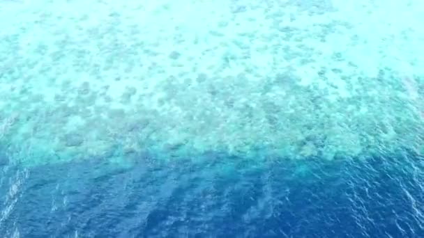 インドネシアの Wakatobi 国立公園の深い水中に落下してサンゴ礁の空撮 この地域の高い海洋生物多様性を宿すし スキューバ ダイビングやシュノーケ リングに人気の場所です — ストック動画