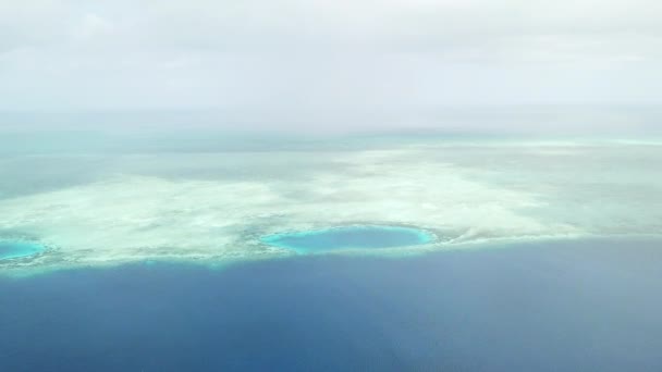 印度尼西亚 Wakatobi 国家公园的健康珊瑚礁鸟瞰图 该地区拥有极高的海洋生物多样性 是水肺潜水和浮潜的热门目的地 — 图库视频影像