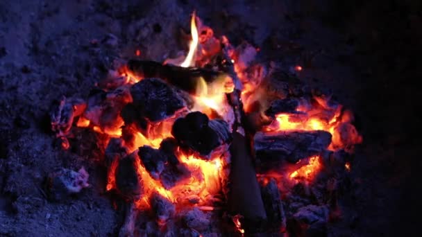 Holz Brennt Lagerfeuer Glühenden Kohlen — Stockvideo