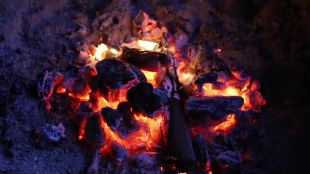 Campfire Burns Extremely Hot Coals — Stock Video