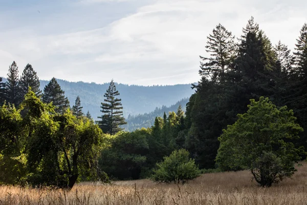 Redwood National Park, found along the coast of Northern California, is home to the world\'s greatest old-growth Redwood trees. Redwoods can live 2,000 years and reach hundreds of feet in height.