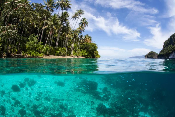 Гарний Пляж Знаходиться Раджа Ampat Індонезія Цей Віддалених Тропічні Область — стокове фото