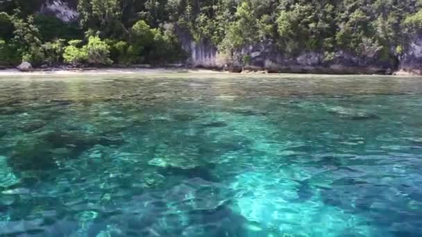 穏やかな水は サンゴ礁と Raja Ampat インドネシアの石灰岩の島を Bathes します このリモートの熱帯地域は その信じられないほどの海洋生物多様性によるコーラル トライ — ストック動画
