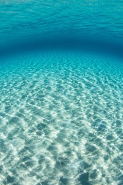 Bright sunlight ripples across the sandy seafloor in the shallows of the tropical Pacific Ocean. clipart