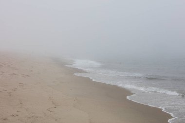Kalın sis güzel bir sahil boyunca Cape Cod, Massachusetts sürükleniyor..