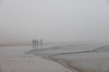 Thick fog drifts over a beautiful beach on Cape Cod, Massachusetts. clipart