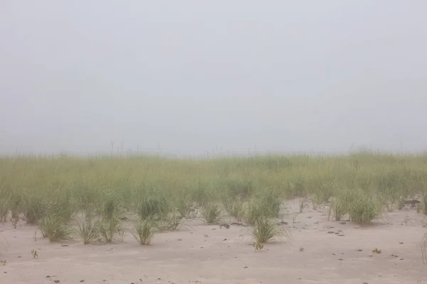 Niebla Espesa Deriva Hierba Dunas Cape Cod Massachusetts Esta Hierba — Foto de Stock