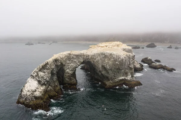 Der Nähe Der Wilden Küste Nordkaliforniens Liegt Ein Riesiger Meeresschatz — Stockfoto