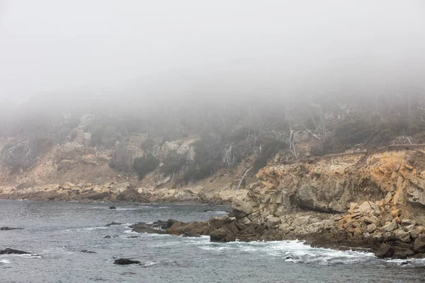 Mist Drijft Wilde Rotsachtige Kust Van Noord Californië Deze Prachtige — Stockfoto