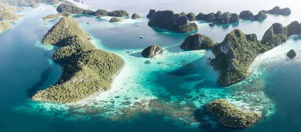 Dramatyczne Wapiennych Wysp Wzrośnie Ładnym Raja Ampat Indonezja Zdalnego Region — Zdjęcie stockowe