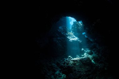 Kirişler güneş ışığı Solomon Adaları'nda bir sualtı mağara gölgeler içine inerler. Biodiverse mercan resifleri bu bölgenin yarıklar, çatlaklar ve mağaraları ile delik deşik.