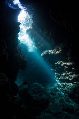 Kirişler güneş ışığı Solomon Adaları'nda bir sualtı mağara gölgeler içine inerler. Biodiverse mercan resifleri bu bölgenin yarıklar, çatlaklar ve mağaraları ile delik deşik.