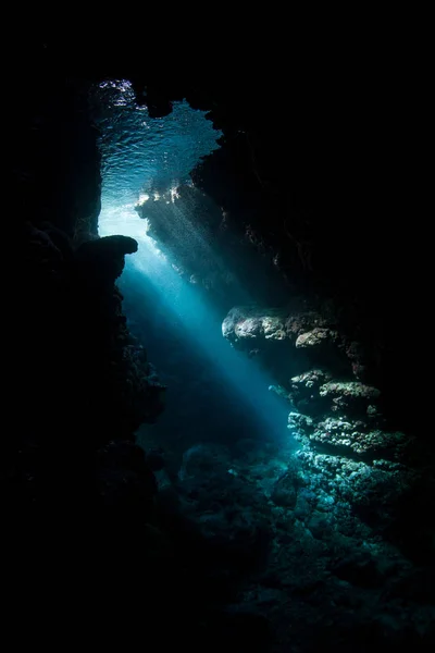 Луч Солнечного Света Спускается Тени Подводной Пещеры Соломоновых Островах Биоразнообразные — стоковое фото