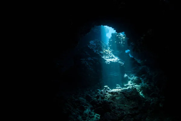 Балки Сонячного Світла Спускатися Тінь Underwater Печеру Соломонових Островах Біорізноманіттям — стокове фото