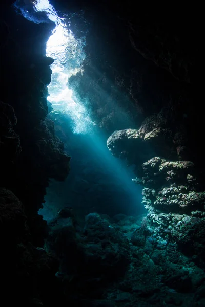 Beams of sunlight descend into the shadows of an underwater cavern in the Solomon Islands. The biodiverse coral reefs of this area are riddled with crevices, cracks, and caves.