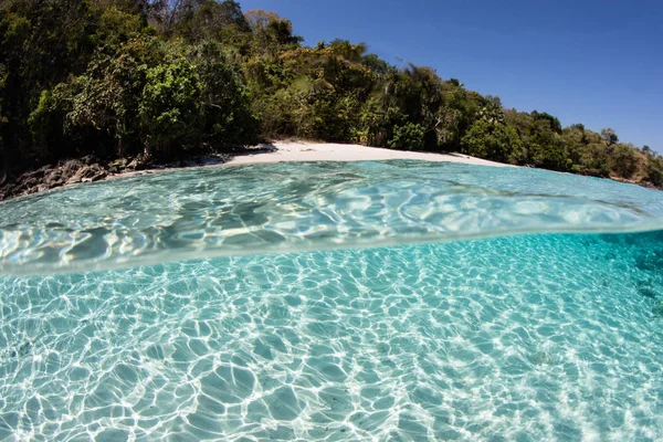 温かく透明な水を浴びるインドネシア アロール近くリモート島の牧歌的なビーチ このリモートの熱帯地域は海洋生物多様性の壮大な配列に家 — ストック写真