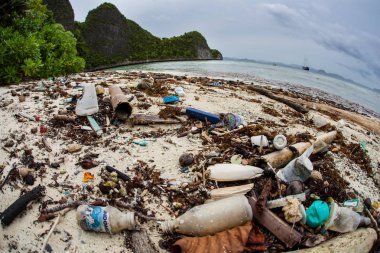 Atılan plastik şişe Raja Ampat, Endonezya uzak bir plajda bitik. Plastik küçük parçalara ayır ve tüm deniz ekosistemi zarar gıda zinciri girin.