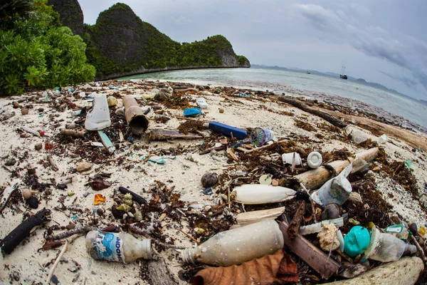 Выброшенные Пластиковые Бутылки Выброшены Удаленный Пляж Раджа Ампат Индонезия Пластмассы — стоковое фото