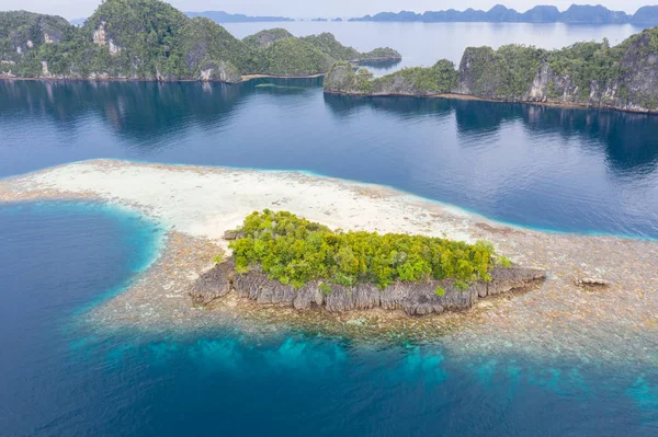 Při Pohledu Shora Mělký Korálový Útes Obklopuje Vzdálený Ostrov Raja — Stock fotografie