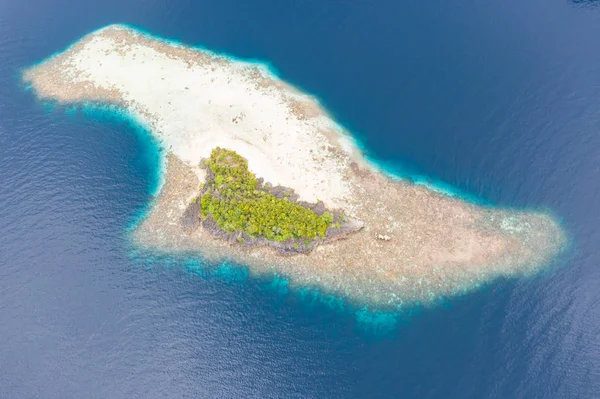 Visto Desde Arriba Arrecife Coral Poco Profundo Rodea Una Isla —  Fotos de Stock