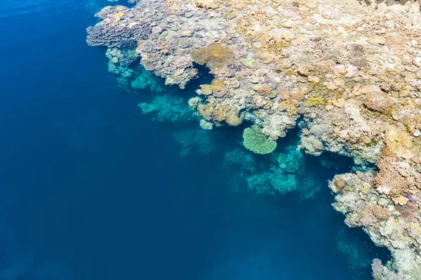 Een Randen Reef Groeit Rand Van Een Externe Kalksteen Eiland — Stockfoto