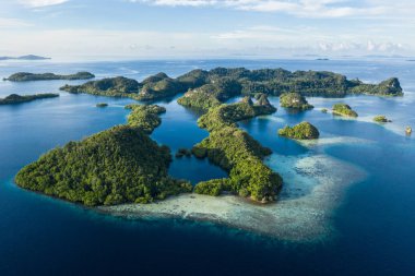 Remote limestone islands in Raja Ampat, Indonesia, are surrounded by healthy coral reefs. This biodiverse region is known as the 