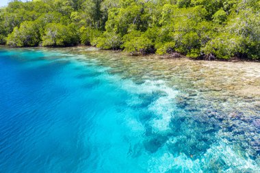 Raja Ampat, Endonezya bir tropik ada kenarı boyunca sığ bir mercan kayalığı büyür. Bu biodiverse bölge, onun muhteşem deniz yaşamı nedeniyle Mercan Üçgeni 