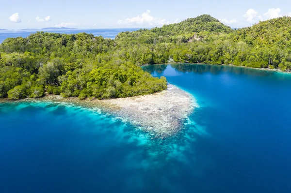 Ett Grunt Korallrev Växer Längs Kanten Tropisk Raja Ampat Indonesien — Stockfoto