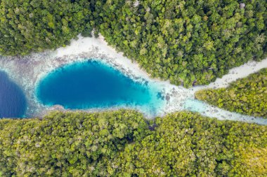Dar kanallar aracılığıyla uzaktan kireçtaşı Raja Ampat, Endonezya Adaları aşınmış. Bu biodiverse bölge, onun muhteşem deniz yaşamı nedeniyle Mercan Üçgeni 