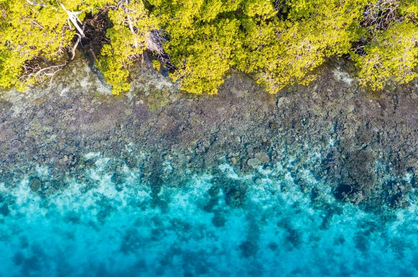 Ampat 인도네시아에 산호초의 Biodiverse 지역의 그것의 놀라운 삼각형의 알려져 — 스톡 사진