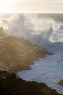 Pasifik Okyanusu kazasında Sonoma kayalık Kuzey Kaliforniya Sahili karşı soğuk sularına. Bu güzel San Francisco kuzeyinde bir kaç saat uzakta ünlü karayolu 1 tarafından alandır. 