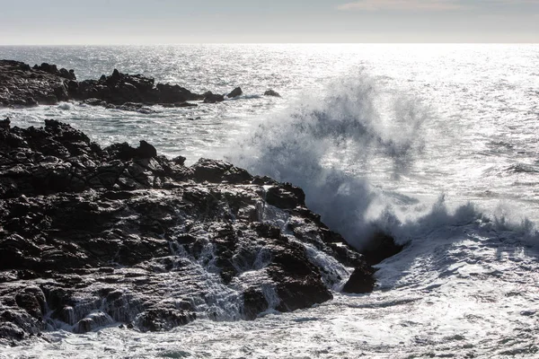 Їхніх Холодних Водах Тихого Океану Аварії Проти Скелясті Узбережжя Північної — стокове фото