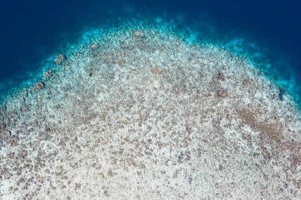 산호초의 Ampat 인도네시아에에서 Biodiverse 지역의 그것의 놀라운 삼각형의 알려져 — 스톡 사진