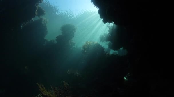 Luz Del Sol Desciende Una Oscura Grieta Arrecife Submarino Raja — Vídeos de Stock