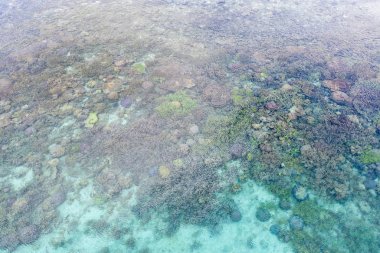 Havadan gördün, sağlıklı mercanlar Raja Ampat, Endonezya bulunan kireçtaşı Adaları arasında büyümek. Bu uzak, tropikal bölge inanılmaz deniz biyoçeşitliliği için bilinen.
