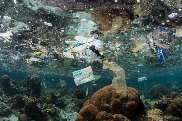 Plastic garbage floats amid the tropical islands of Raja Ampat, Indonesia. Plastics are polluting all of the Earth\'s oceans, killing wildlife and eventually entering the human food chain.