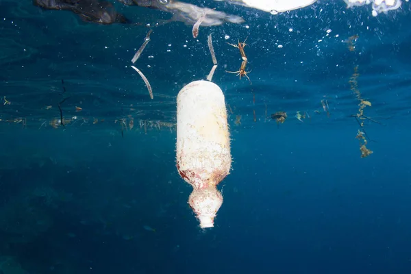 A plastic bottle floats amid the tropical islands of Raja Ampat, Indonesia. Plastics are polluting all of the Earth\'s oceans, killing wildlife and eventually entering the human food chain.