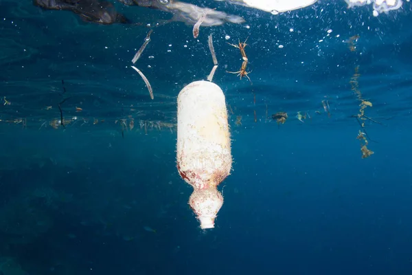 Plastic Bottle Floats Tropical Islands Raja Ampat Indonesia Plastics Polluting Stock Photo